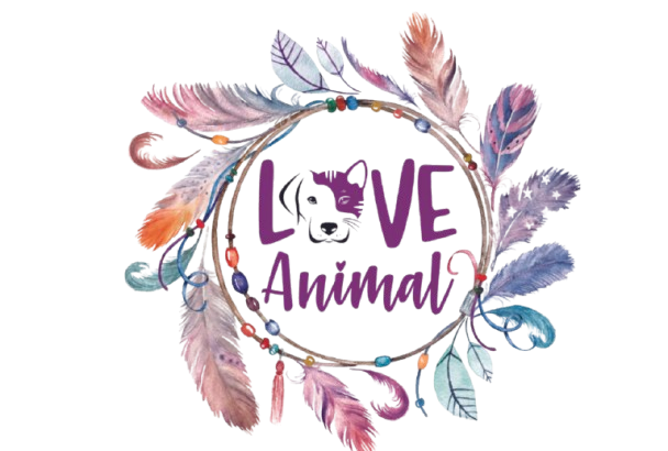 Captura de pantalla 2025 03 09 a la s  5.25.28 p. m. removebg preview